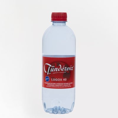 Tündérvíz Lúgox 40 0,5 Liter (12 Stück)